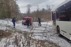 Названа еще одна неожиданная версия пропажи семьи Усольцевых в тайге