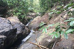 Пара занялась сексом у водопада и попала за решетку