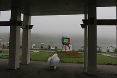 План «Ковер» ввели в российском регионе из-за угрозы ВСУ