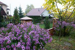 Россиянам рассказали о запрещенных объектах на собственных дачах