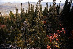 Стали известны подробности поисков в пещерах бесследно исчезнувших в тайге россиян