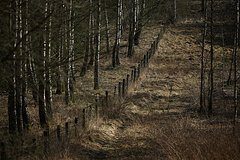 В Польше заявили о росте стоимости постройки «Восточного щита»