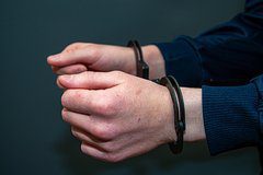 В Сербии задержали раздевшегося на протесте митингующего