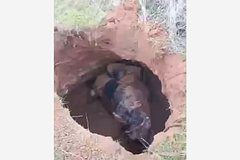 Всадник на лошади провалился в огромную яму в России и сделал неожиданное открытие