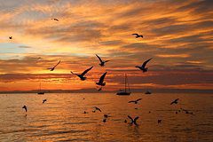 Европу уличили в планах по эскалации конфликта в Черном море