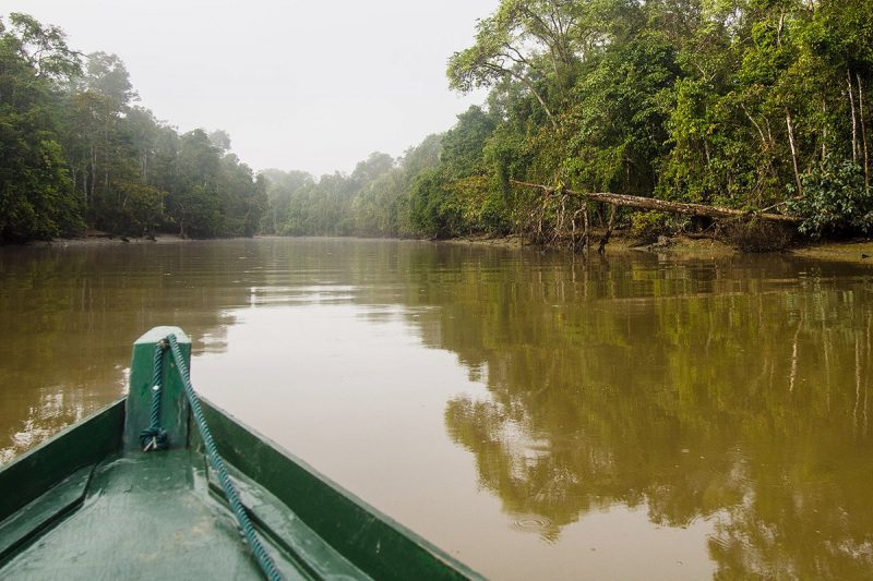Крокодил-людоед с Борнео