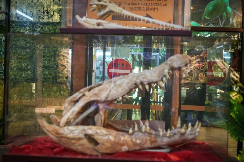 Крокодил-людоед с Борнео