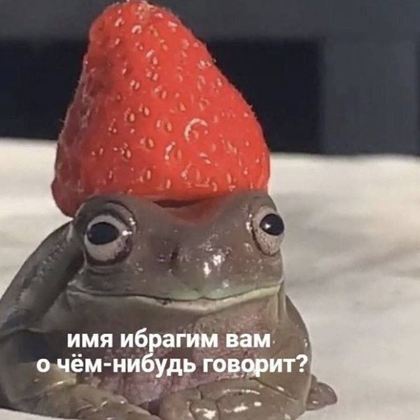 Мем о кандибобере