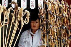 «Мне даже смотреть тошно». Какая еда шокирует российских туристов в США, Германии, Мексике и других странах?