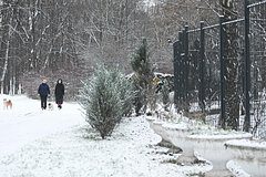 Москвичам пообещали зимний «налет» и «все причуды погоды»