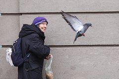 Назван главный минус идеи поднять минимальную пенсию в России