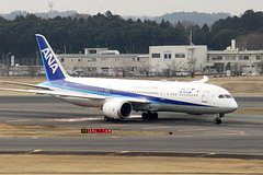 Пассажирский самолет получил вмятины после столкновения с птицами при заходе на посадку