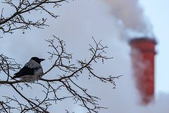 Подсчитано количество пострадавших домов в Ангарске из-за аварии на ТЭЦ