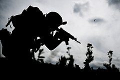 Путин словами «что за бред вообще» отреагировал на ситуацию с членами семей бойцов СВО