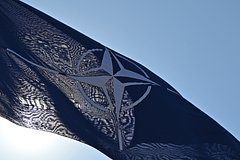 Раскрыты красные линии НАТО в мирном плане по Украине