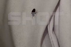 Россиян массово атаковали клопы в пятизвездочных отелях Египта