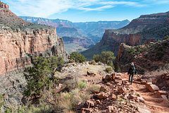 Россиянин побывал в США и описал страну фразой «безопасность, комфорт и контроль»