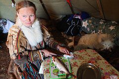 Россиянка описала жизнь женщин-оленеводов в тундре фразой «ее задача — подавать еду»