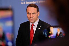 Сикорский рассказал о выигрыше Польши от конфликта на Украине