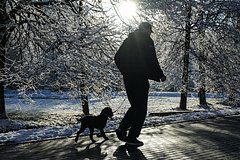 Синоптик оценил срок визита зимы в Москву