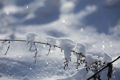 Синоптик предупредил россиян о 40-градусных морозах в новогоднюю ночь