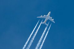 Страна ЕС захотела восстановить авиасообщение с Россией