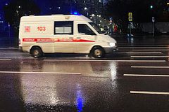 В Москве деревья рухнули на людей