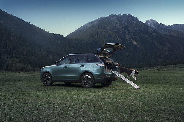 В России анонсировали кроссовер для путешествий с животными