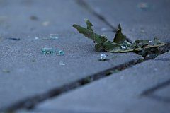 В российском городе несколько домов повреждены обломками БПЛА