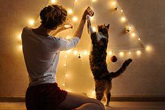 Ветеринар дала советы владельцам животных перед Новым годом