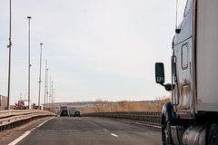 Власти решили не усложнять ввоз пальмового масла в Россию