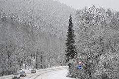 Заблудившийся в тайге мужчина провел на морозе трое суток и выжил