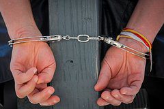 Задержанная родственница пресс-секретаря Белого дома вышла на связь